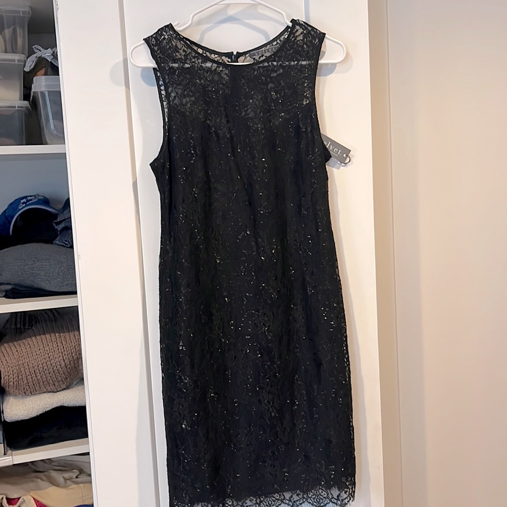 Velvet Little Black Dress.   Sheer lace with light black lining.Size M